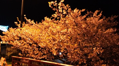 P_20210221_200959_vHDR_On