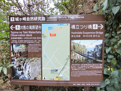 CIMG2951