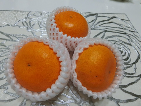 CIMG0216