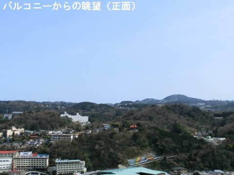ｸﾘｵｲﾄｳ5252319－6