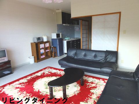 enzel16293