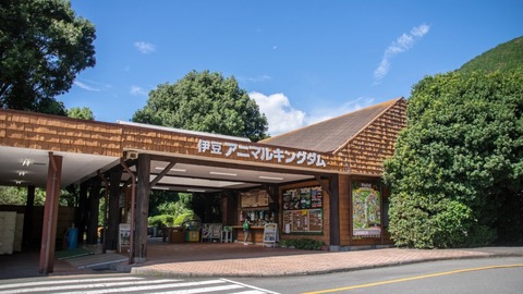 pixta_44460859_M-1-e1574309798954