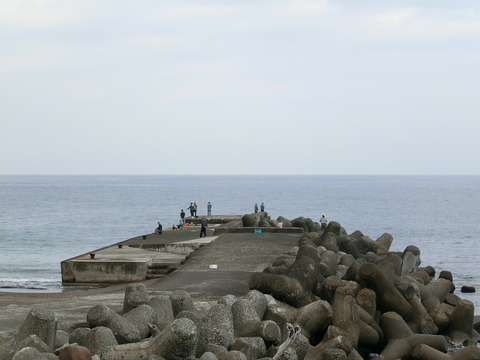 CIMG0769