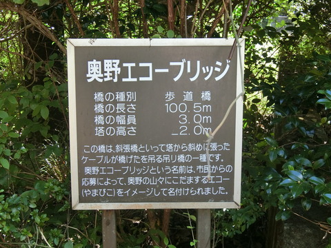 CIMG4388
