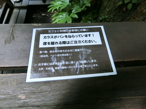 CIMG1292