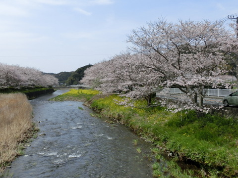 CIMG4548
