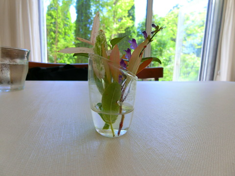 CIMG0684