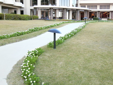 CIMG2610
