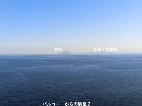 enzelinatori112154
