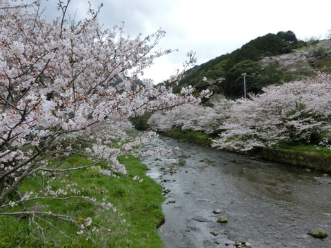 CIMG7495