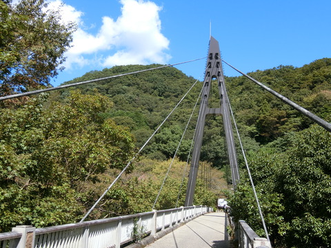 CIMG4393