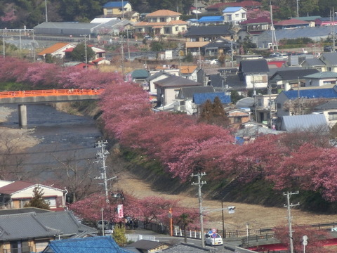CIMG5879