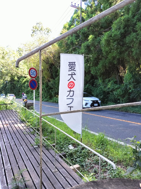IMG20230905133025