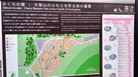 P_20210323_120727_vHDR_On