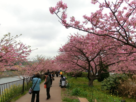 CIMG0332
