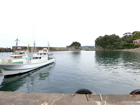 CIMG0538