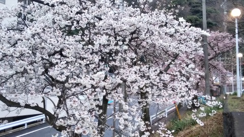 P_20210226_172823_vHDR_On