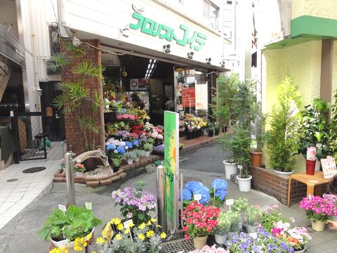 koide1