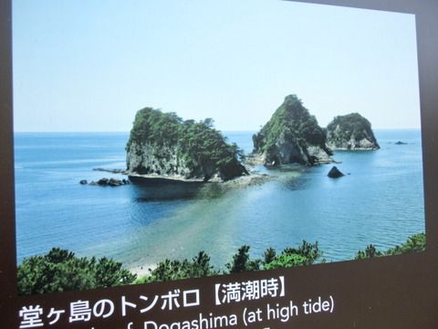 CIMG7705
