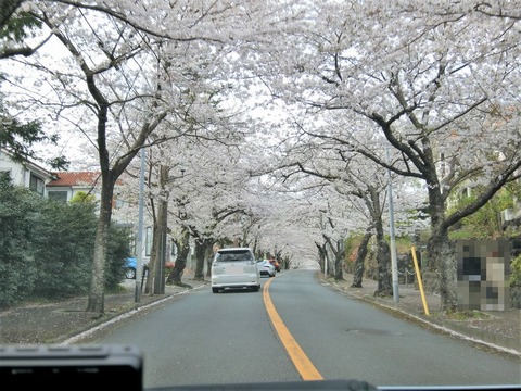 CIMG0038 (2)