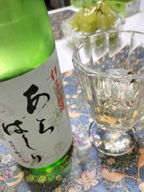 IMG20231007213241