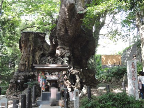 kinomiyajinjya4