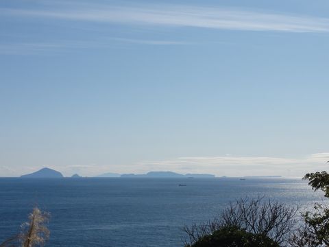 tosimahoka