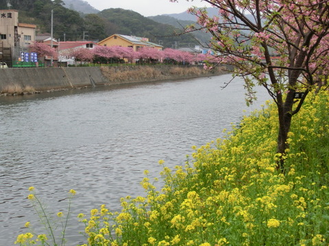 CIMG0333