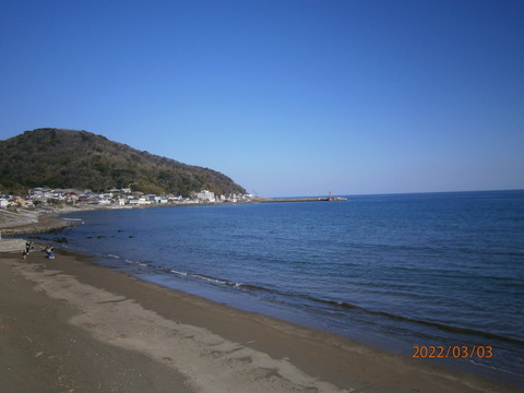 P3030045
