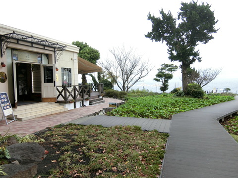 CIMG2544
