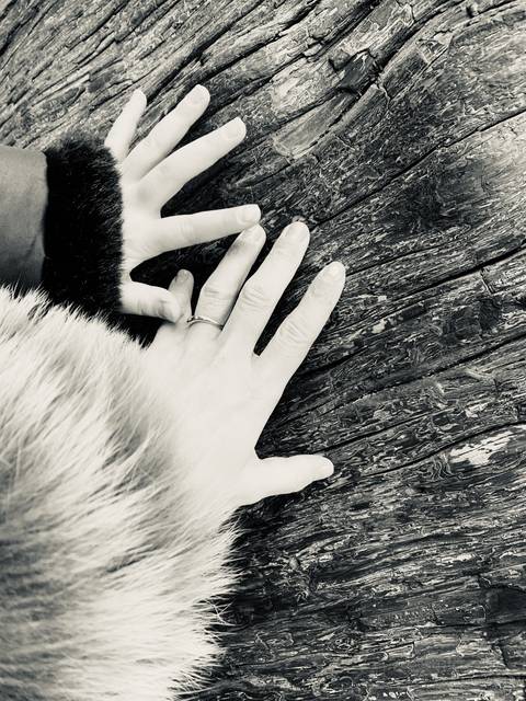 9E567134-7B85-45D6-8A86-873D9275ACDC