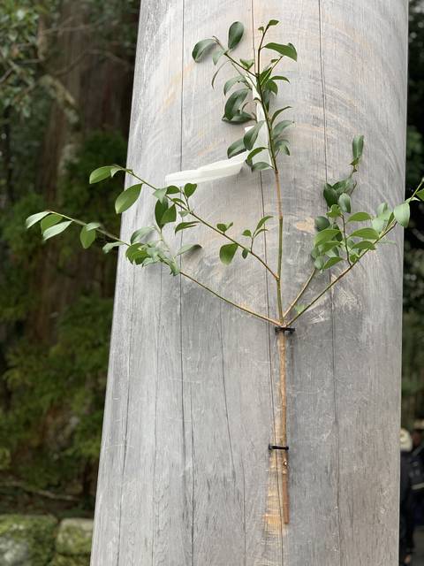 6614D6AC-190D-4EB7-AAC1-70725C73F4B0