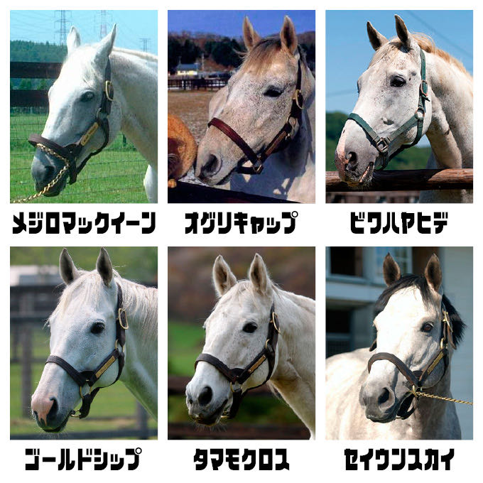 俺サラブレッドだけど質問ありゅ ウマ娘うまだっち速報