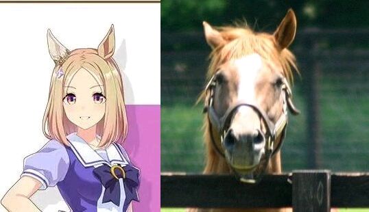 ウマ娘のナリタトップロードちゃん かわいい ウマ娘うまだっち速報