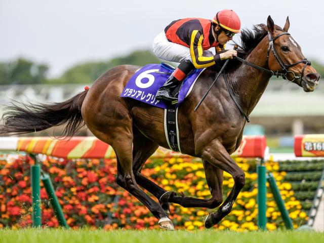 6月6日の安田記念出走馬 陣営コメント抜粋がこちら うーん グランアレグリアｗｗｗｗｗ ウマ娘うまだっち速報