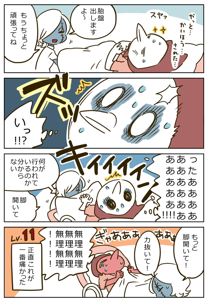 essei081b
