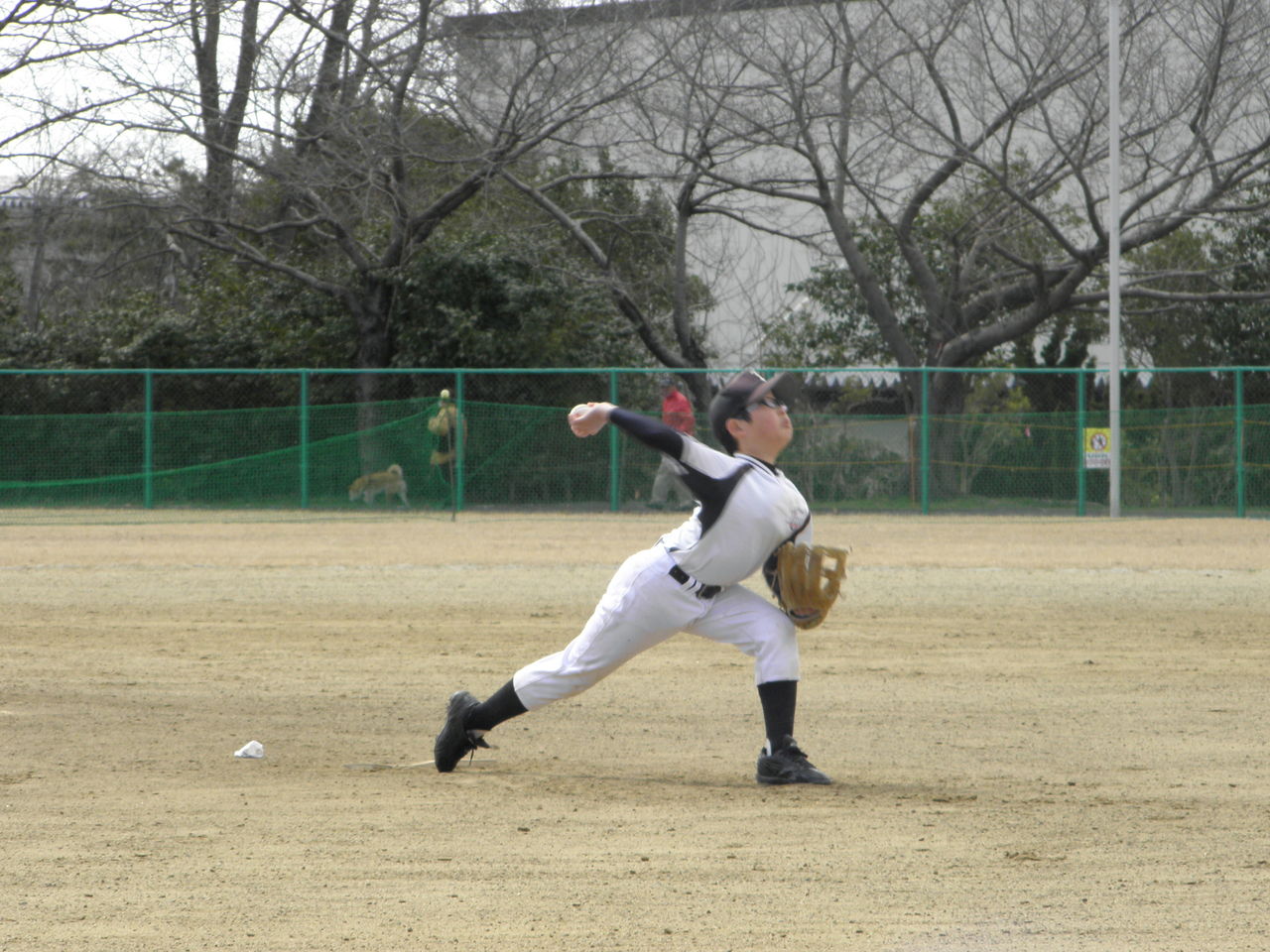 練習試合 Vs青山スワローズ 泉フレンズ ｏｆｆｉｃｉａｌ ｗｅｂｓｉｔｅ