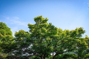 小満