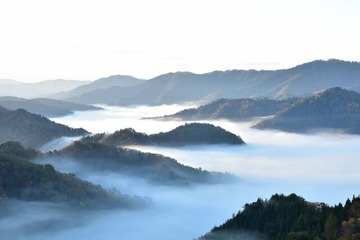 蒙霧升降