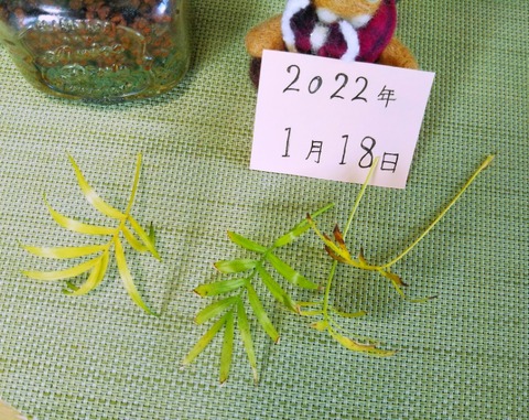 IMG_20220119_222851