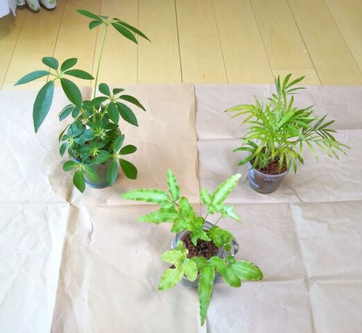 21年05月18日 出来たをさがそ