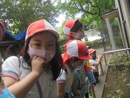 s-DSC02519