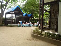 s-DSC09995