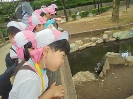 s-DSC02537