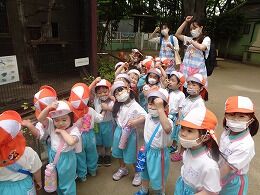 s-DSC09980