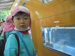 s-DSC02532