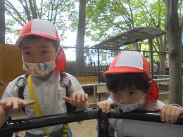 s-DSC02515
