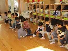 s-IMG_6017