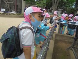 s-DSC02522