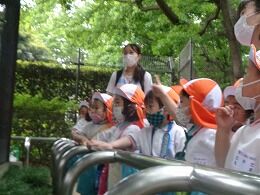 s-DSC09951